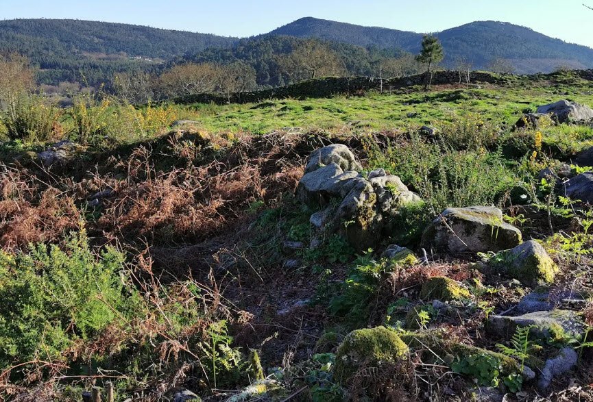 Castro lupario, Spain
